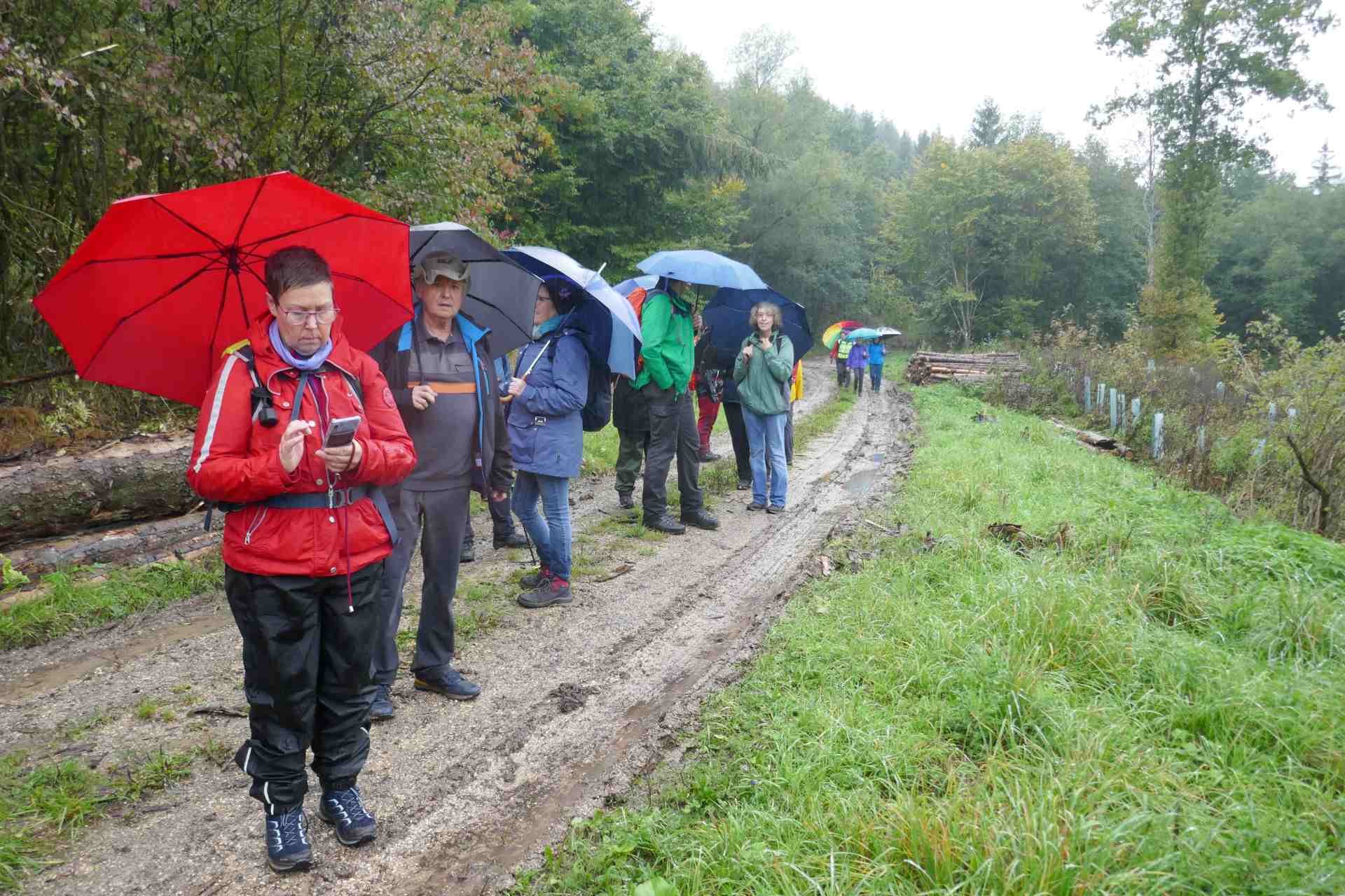 Regionalwandertag in Abtsgmünd